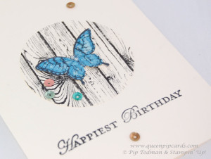 Butterfly Birthday 2