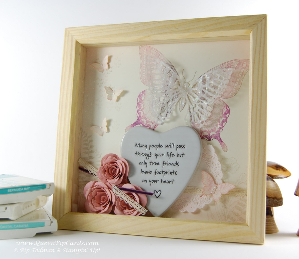 Butterfly Frame_V_0153