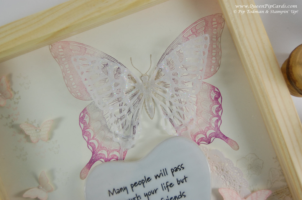 Butterfly Frame_V_0161