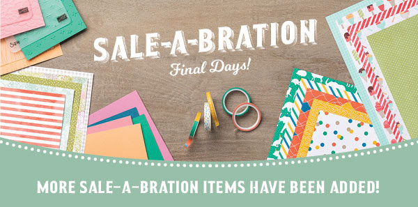 Extra Sale-a-bration Goodies Large