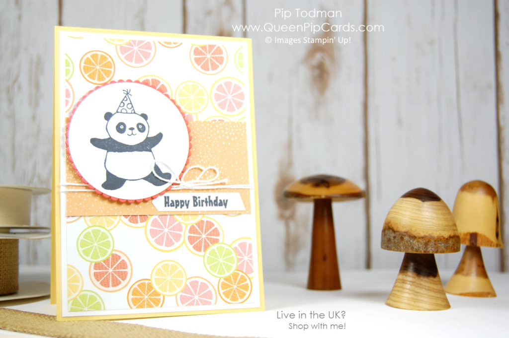 Party Pandas Meet Tutti Frutti. Sale-a-bration 2018. Fabulous cute stampset! Pip Todman Crafty Coach & Stampin' Up! Top UK Demonstrator Queen Pip Cards www.queenpipcards.com Facebook: fb.me/QueenPipCards #queenpipcards #stampinup #papercraft #inspiringyourcreativity 