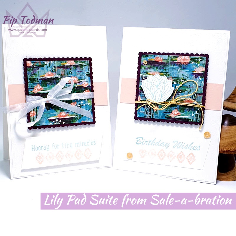 The Lily Pad Suite from Sale-a-bration is bold, bright and pretty at the same time. Pip Todman www.queenpipcards.com Stampin' Up! Independent Demonstrator UK 