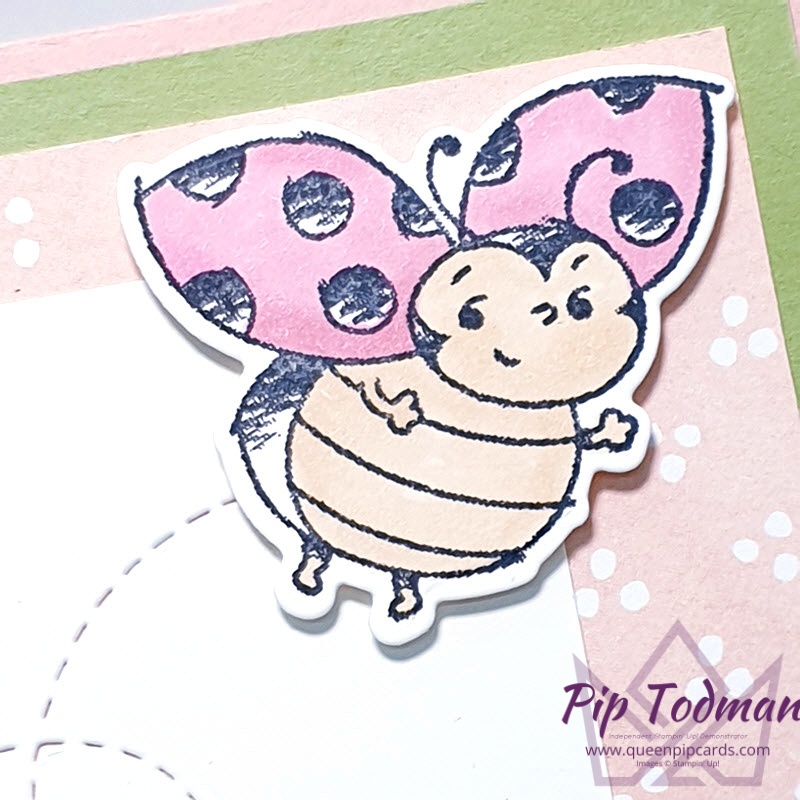 The Little Ladybug Set is now even better with coordinating dies to match! I show you 2 colour variations! Pip Todman www.queenpipcards.com Stampin' Up! Independent Demonstrator UK 