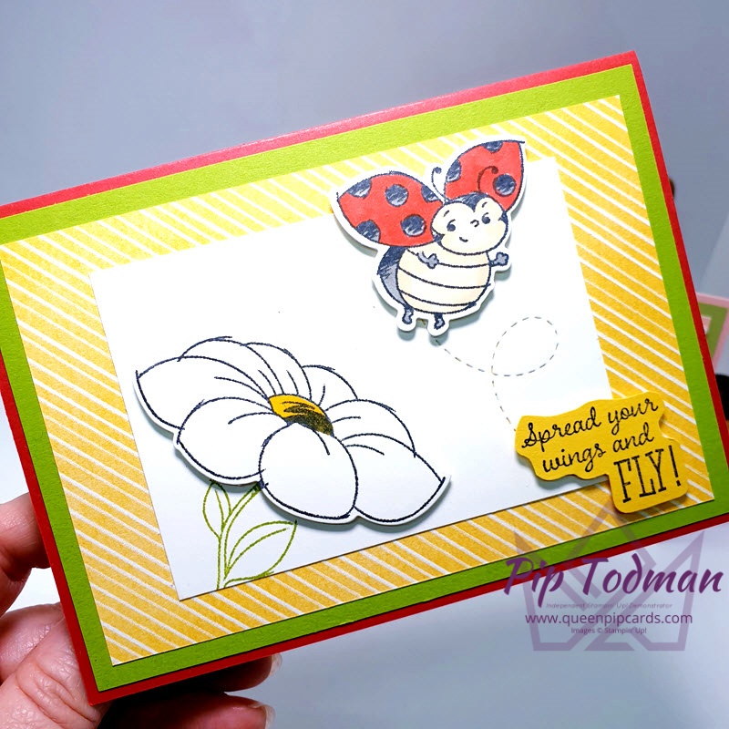 The Little Ladybug Set is now even better with coordinating dies to match! I show you 2 colour variations! Pip Todman www.queenpipcards.com Stampin' Up! Independent Demonstrator UK 