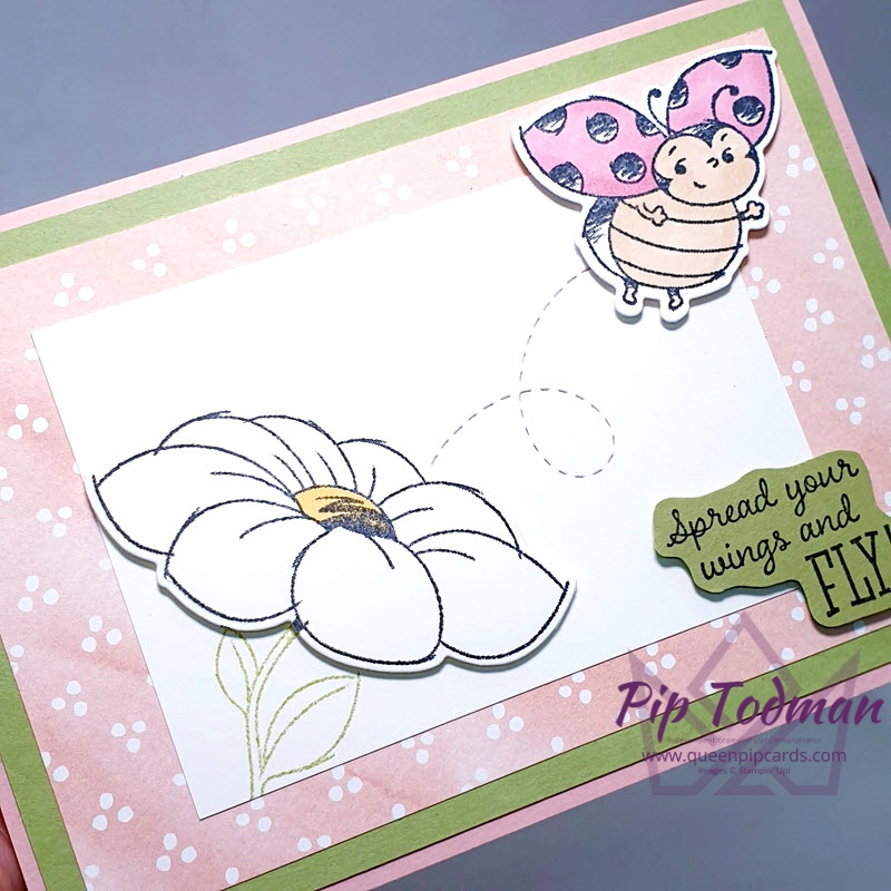 The Little Ladybug Set is now even better with coordinating dies to match! I show you 2 colour variations! Pip Todman www.queenpipcards.com Stampin' Up! Independent Demonstrator UK 