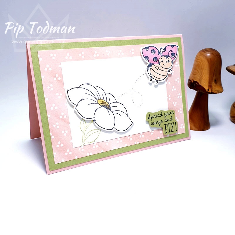 The Little Ladybug Set is now even better with coordinating dies to match! I show you 2 colour variations! Pip Todman www.queenpipcards.com Stampin' Up! Independent Demonstrator UK 