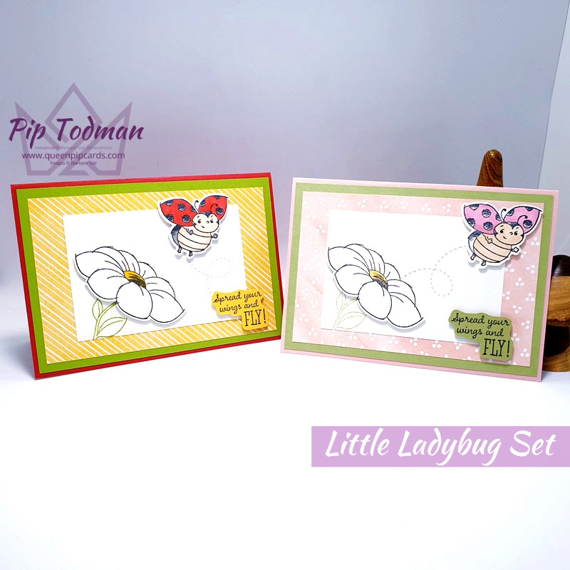 The Little Ladybug Set is now even better with coordinating dies to match! I show you 2 colour variations! Pip Todman www.queenpipcards.com Stampin' Up! Independent Demonstrator UK 