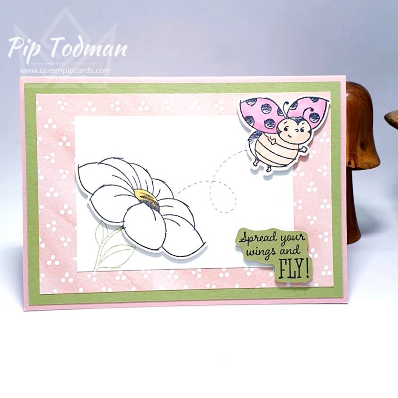 The Little Ladybug Set is now even better with coordinating dies to match! I show you 2 colour variations! Pip Todman www.queenpipcards.com Stampin' Up! Independent Demonstrator UK 