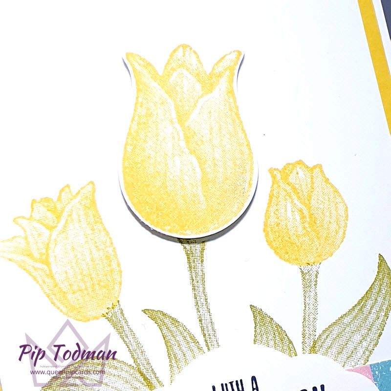 1 Layout 2 Stamp Sets - Timeless Tulips and Positive Thoughts - see how different you can make a card look just by changing a stamp set! Pip Todman www.queenpipcards.com Stampin' Up! Independent Demonstrator UK