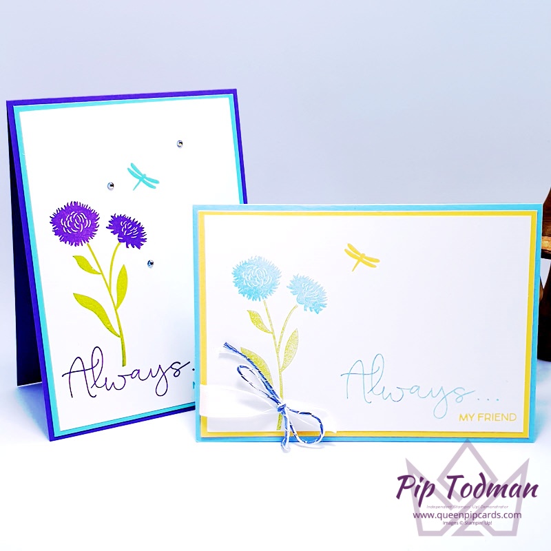 Subtles or Brights for Field of Flowers? Pip Todman www.queenpipcards.com Stampin' Up! Independent Demonstrator UK