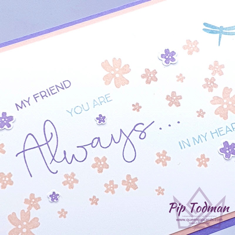 Field of Flowers in 3 designs and 6 colourways!  Pip Todman www.queenpipcards.com Stampin' Up! Independent Demonstrator UK