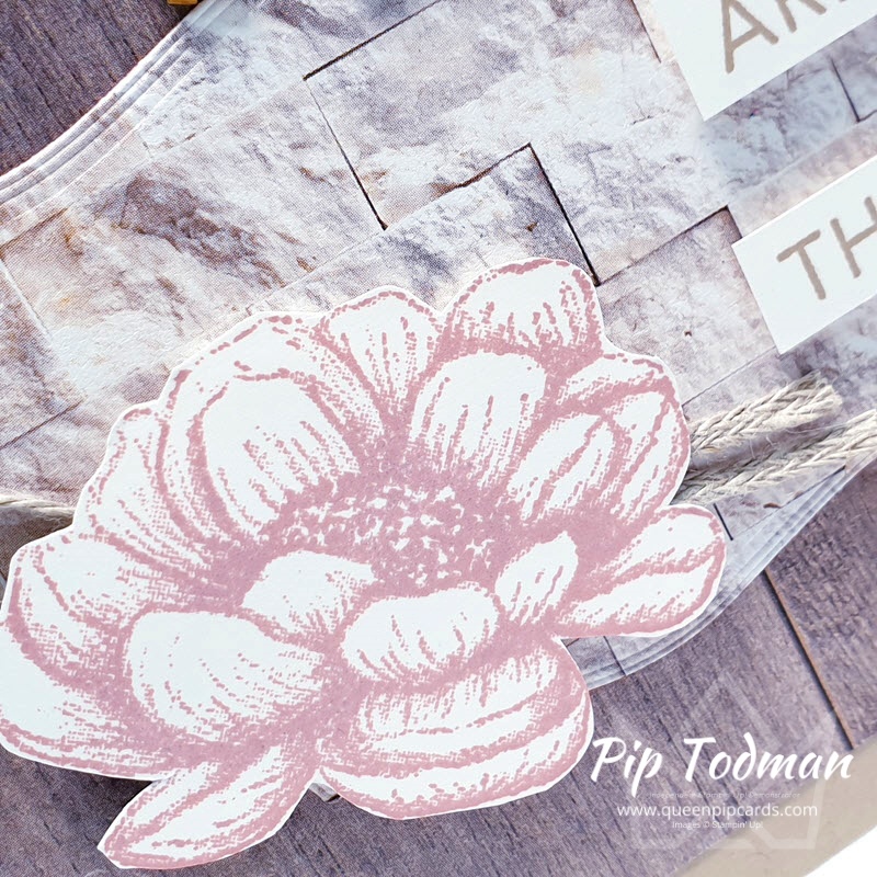 Tasteful Touches Blog Hop Pip Todman www.queenpipcards.com Stampin' Up! Independent Demonstrator UK