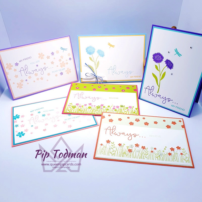 Subtles or Brights for Field of Flowers? Pip Todman www.queenpipcards.com Stampin' Up! Independent Demonstrator UK