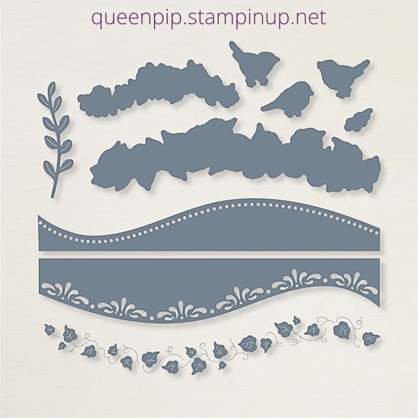 How to use Curvy dies in your card making. Pip Todman Stampin' Up! Demonstrator #simplystylish #queenpipcards