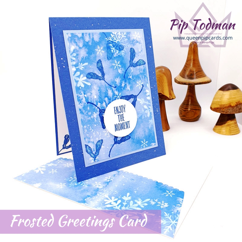 Frosted Greetings Card that is quick and easy to make. Pip Todman Stampin' Up! Demonstrator #simplystylish #queenpipcards