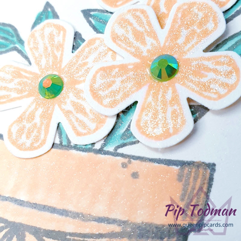 Basket of Blooms and the Small Bloom Punch!

Pip Todman Stampin' Up! Demonstrator #simplystylish #queenpipcards
#stampinup