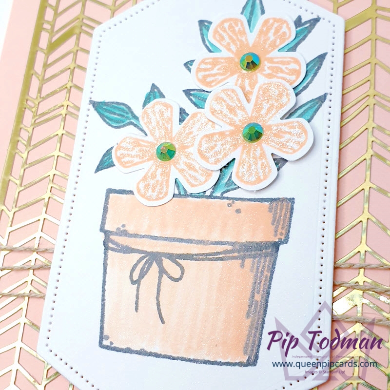 Flower Pot Card. Using Blending and punched flowers to give a 3D look.

Pip Todman Stampin' Up! Demonstrator #simplystylish #queenpipcards
#stampinup