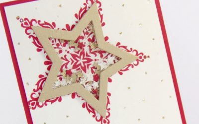 Christmas Shaker Card: Christmas Countdown Day 5