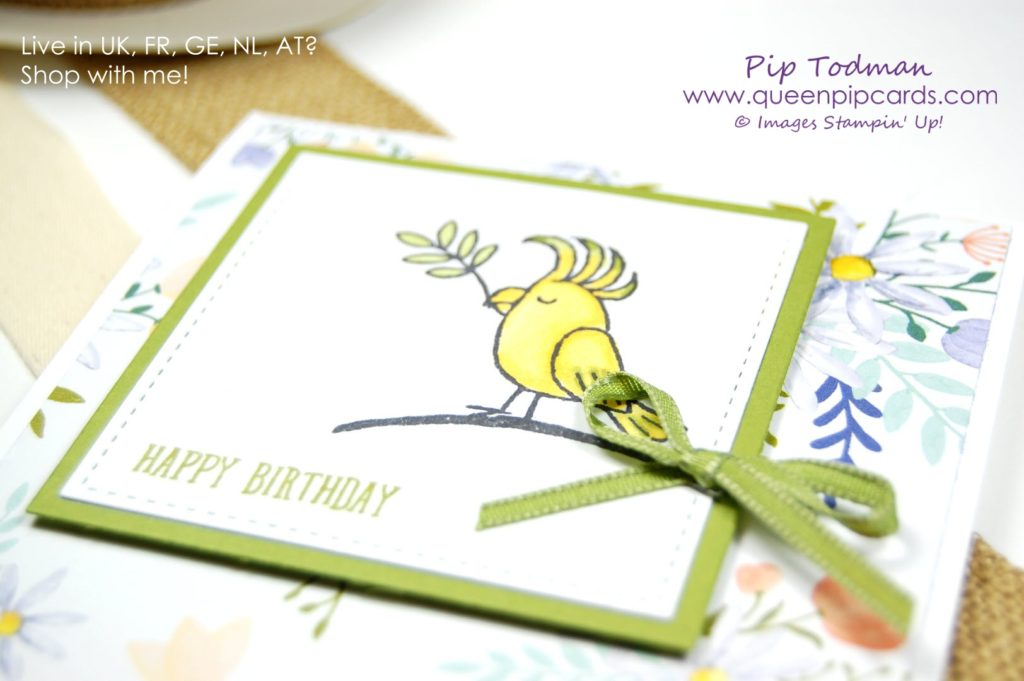 How To Use Blender Pens and Glycerine with Bird Banter. A great way to blend beautifully with your colours at home. Plus a cute stamp set that I'm really sad to see go! All products available from my online store (unless retired) here: http://bit.ly/QPCShop Pip Todman Crafty Coach & Stampin' Up! Top UK Demonstrator Queen Pip Cards www.queenpipcards.com Facebook: fb.me/QueenPipCards #queenpipcards #inspiringyourcreativity #stampinup #papercraft 