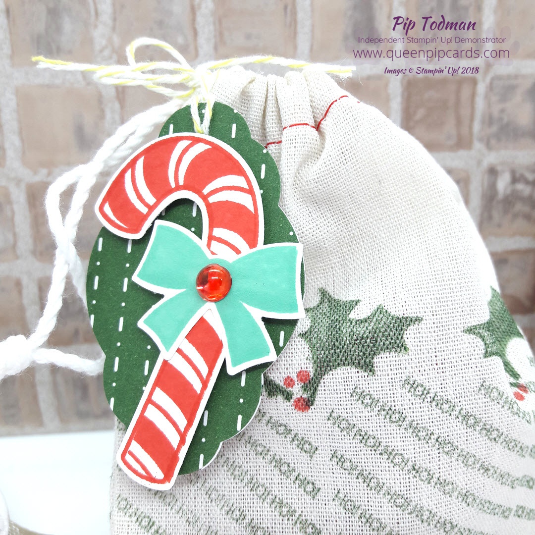 Mini Santa Gift Bag with Candy Cane Season