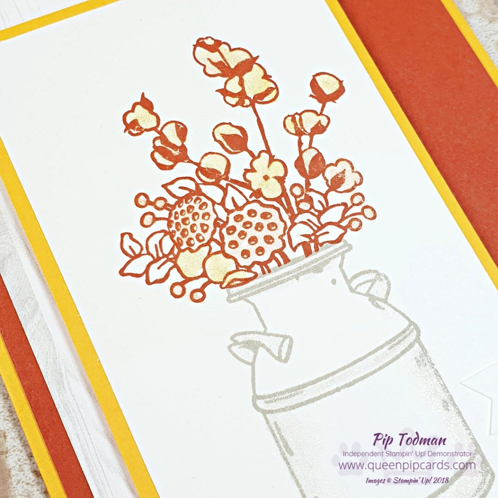 Country Home Card with Brand New Basics Episode 2 - Tools and stuff! Yes I'm back sharing my Facebook Live on things that brand new crafters, card makers, new to Stampin' Up! or new to me people might need to know. Tips about tools and how to use them, what they're called and what they're for! Plus a pretty card with Country Home made live on the show! All Stampin' Up! products are / will be available from my online store here: http://bit.ly/QPCShop Pip Todman Crafty Coach & Stampin' Up! Top UK Demonstrator Queen Pip Cards www.queenpipcards.com Facebook: fb.me/QueenPipCards #queenpipcards #simplystylish #inspiringyourcreativity #stampinup #papercraft 