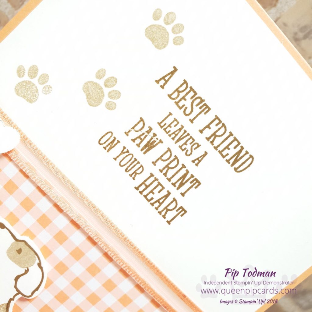 Adding Dimension With Happy Tails is the focus of this week's Brand New Basics video. Great for new card makers who want to understand the basics of card making, or for anyone who wants tips on using the Stampin' Up! products. This week it's dogs! All the details on what I used to make all 3 cards are on my blog - just click the link. All Stampin' Up! products are / will be available from my online store here: http://bit.ly/QPCShop Pip Todman Crafty Coach & Stampin' Up! Top UK Demonstrator Queen Pip Cards www.queenpipcards.com Facebook: fb.me/QueenPipCards #queenpipcards #simplystylish #inspiringyourcreativity #stampinup #simplestamping #papercraft