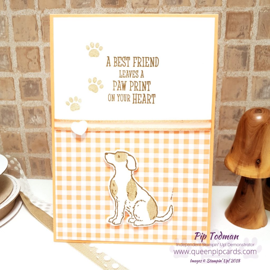 Adding Dimension With Happy Tails is the focus of this week's Brand New Basics video. Great for new card makers who want to understand the basics of card making, or for anyone who wants tips on using the Stampin' Up! products. This week it's dogs! All the details on what I used to make all 3 cards are on my blog - just click the link. All Stampin' Up! products are / will be available from my online store here: http://bit.ly/QPCShop Pip Todman Crafty Coach & Stampin' Up! Top UK Demonstrator Queen Pip Cards www.queenpipcards.com Facebook: fb.me/QueenPipCards #queenpipcards #simplystylish #inspiringyourcreativity #stampinup #simplestamping #papercraft