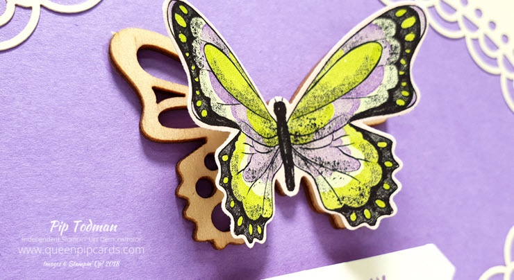 Butterflies Galore With Sale-a-bration