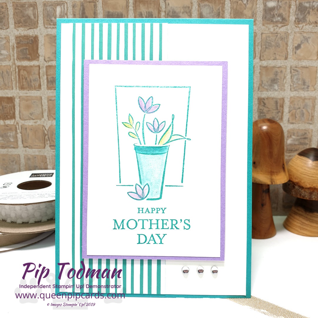 Springtime With Stampin Creative - Queen Pip Cards