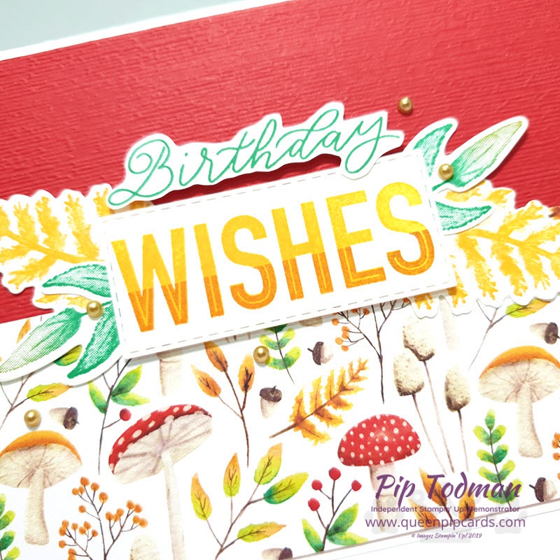 Painted Seasons And New Matching Dies! See how much more WOW you get when you add Four Seasons Framelits to the mix! Shop my online store here: http://bit.ly/QPCShop Pip Todman www.queenpipcards.com #queenpipcards #simplystylish #stampinup #simplestamping #papercraft 