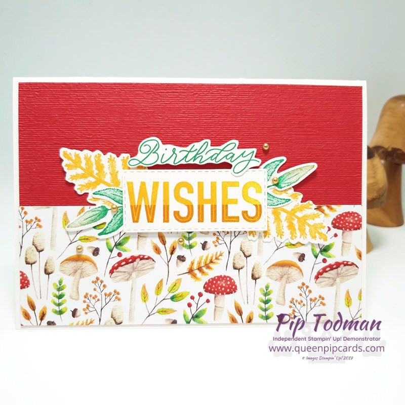 Painted Seasons And New Matching Dies! See how much more WOW you get when you add Four Seasons Framelits to the mix! Shop my online store here: http://bit.ly/QPCShop Pip Todman www.queenpipcards.com #queenpipcards #simplystylish #stampinup #simplestamping #papercraft 