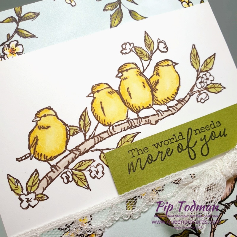 Bird Ballard Is All About Friendship! Join the Royal Stampers today and find new friends today. Pip Todman www.queenpipcards.com Stampin' Up! Independent Demonstrator UK 