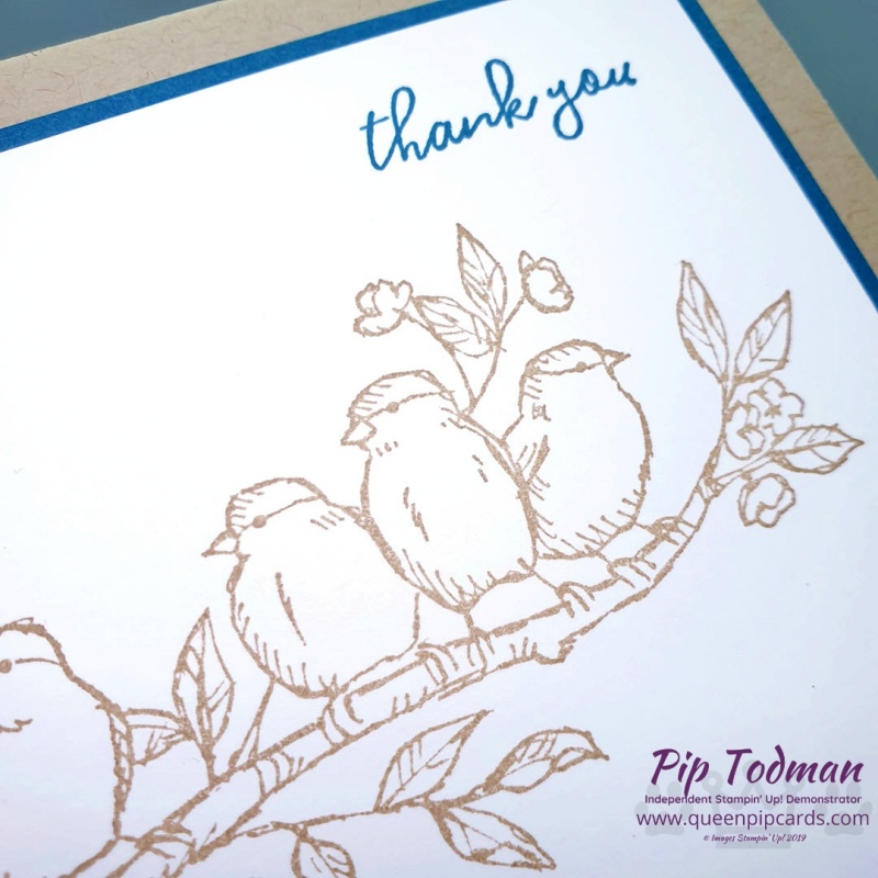 Free As A Bird In Colour Cards with Stampin' Creative Blog Hop! Come and see all the new In Colours from Stampin' Up! shown off by the design team this month! Pip Todman www.queenpipcards.com Stampin' Up! Independent Demonstrator UK 