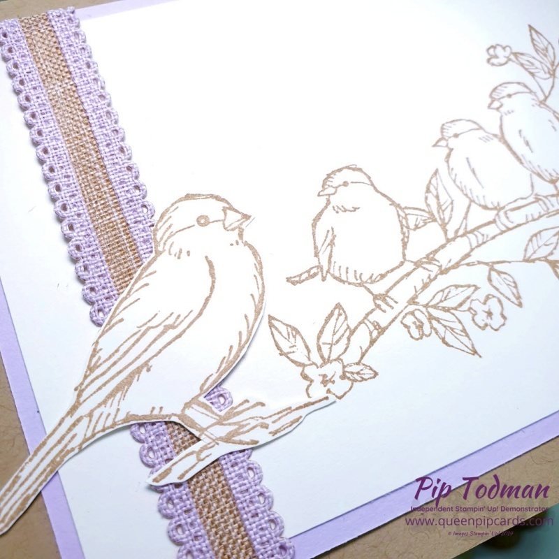 Free As A Bird In Colour Cards with Stampin' Creative Blog Hop! Come and see all the new In Colours from Stampin' Up! shown off by the design team this month! Pip Todman www.queenpipcards.com Stampin' Up! Independent Demonstrator UK 