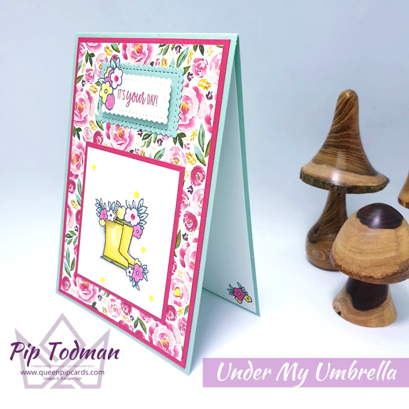 NEW Coordination Product Release is LIVE! New Products that coordinate with current products like Under My Umbrella! Pip Todman www.queenpipcards.com Stampin' Up! Independent Demonstrator UK 