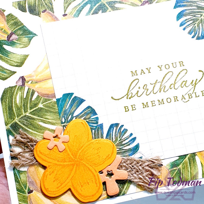 Fabulous, quick and easy Tropical Oasis Memories and More cards. Pip Todman www.queenpipcards.com Stampin' Up! Independent Demonstrator UK