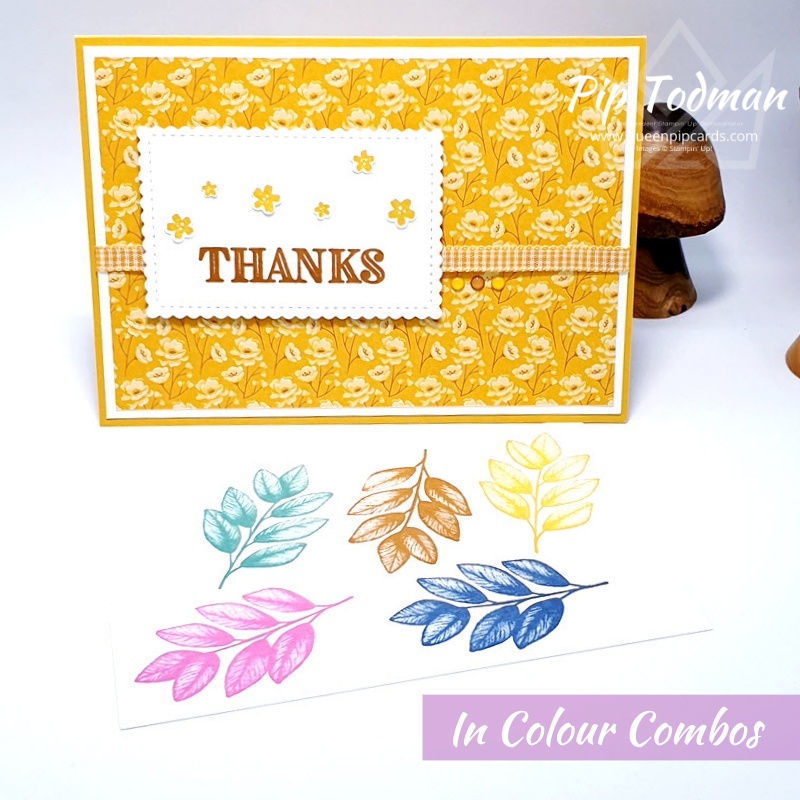 In Colour Combos Pip Todman www.queenpipcards.com Stampin' Up! Independent Demonstrator UK