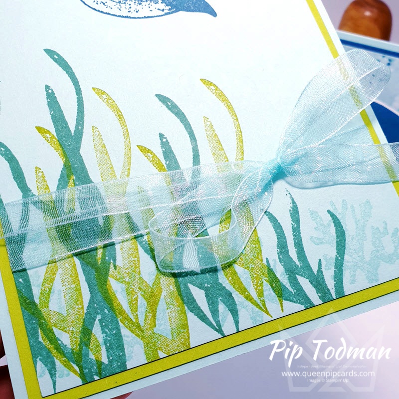 Simple stamping with Whale of a Time suite! Pip Todman www.queenpipcards.com Stampin' Up! Independent Demonstrator UK
