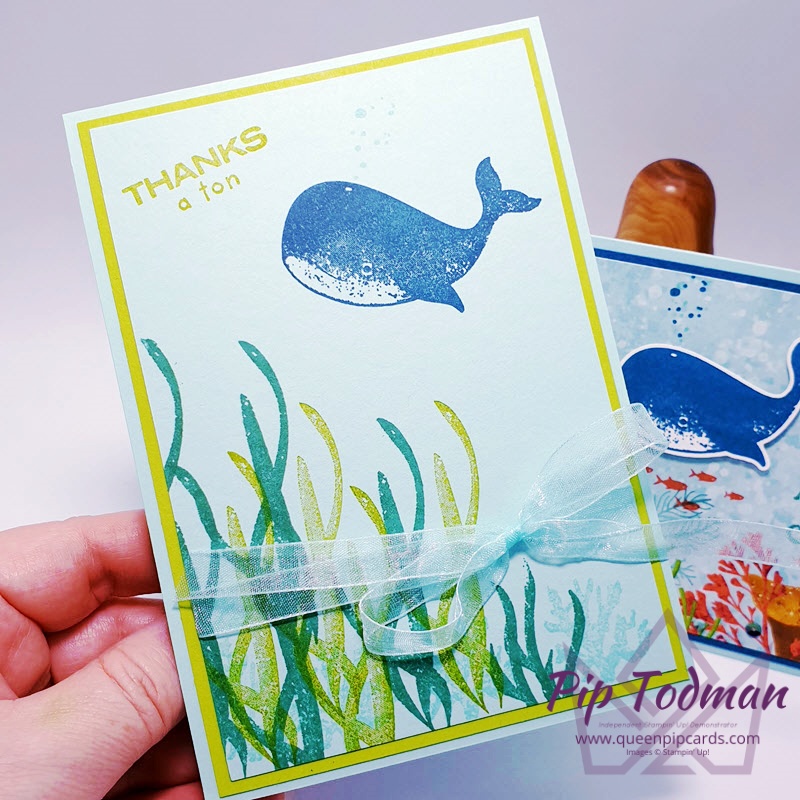 Simple stamping with Whale done! Pip Todman www.queenpipcards.com Stampin' Up! Independent Demonstrator UK