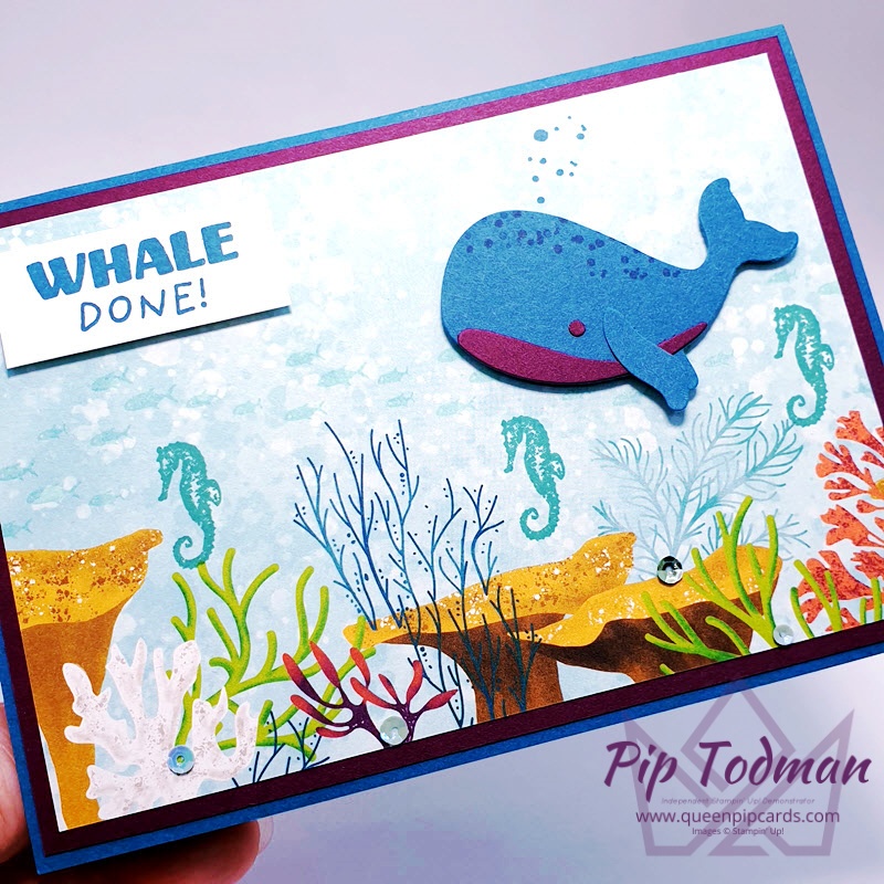 Whale done stamp and punch bundle! Pip Todman www.queenpipcards.com Stampin' Up! Independent Demonstrator UK