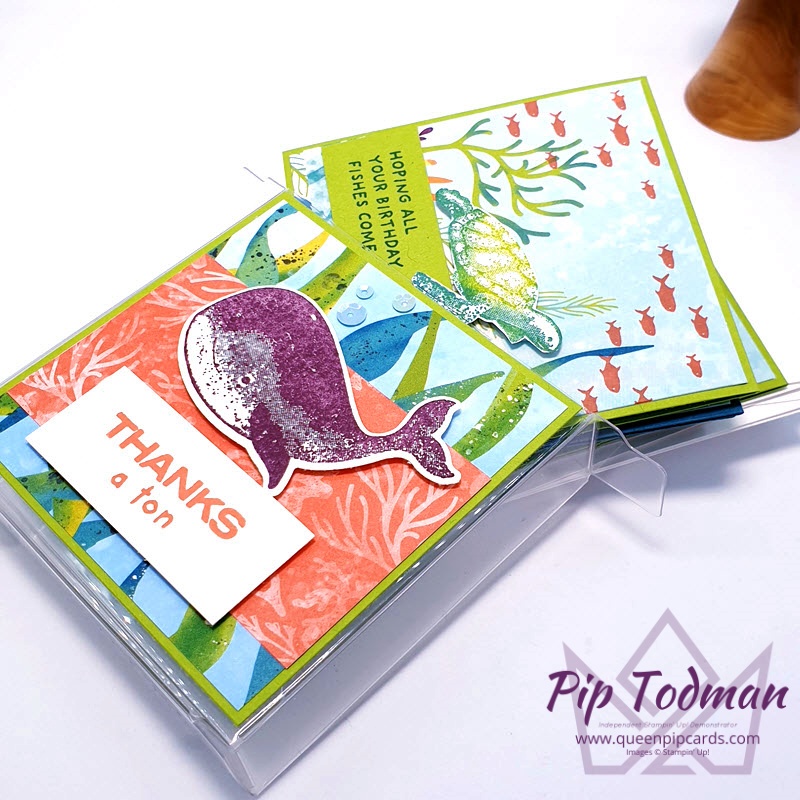 Whale of a Time Notecards and Box set! Pip Todman www.queenpipcards.com Stampin' Up! Independent Demonstrator UK