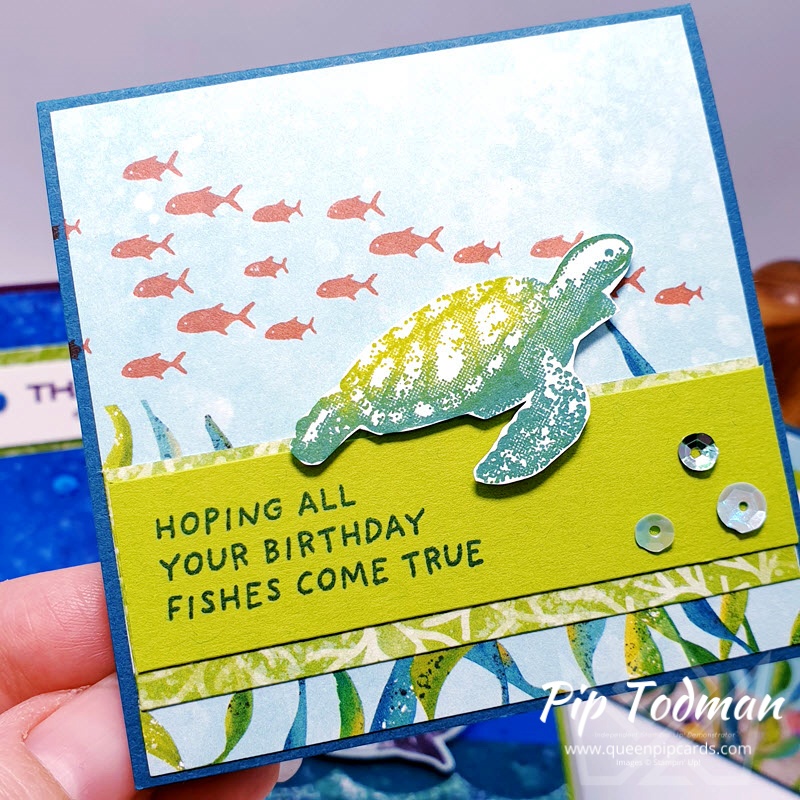Who doesn't love a turtle? Pip Todman www.queenpipcards.com Stampin' Up! Independent Demonstrator UK