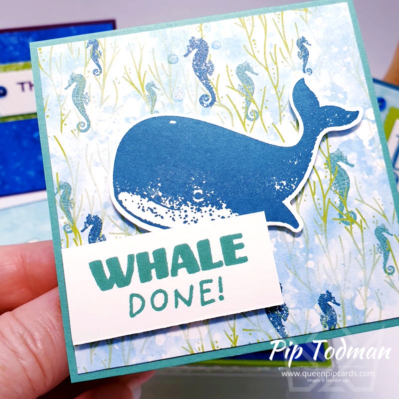 Happy Congratulations card using Whale of a Time suite! Pip Todman www.queenpipcards.com Stampin' Up! Independent Demonstrator UK