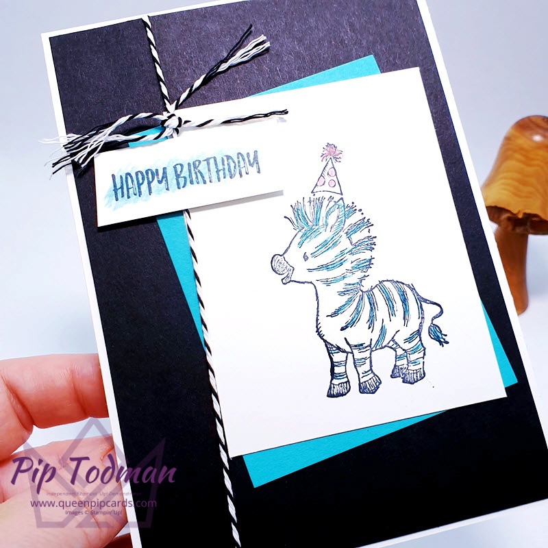 Looking great in Bermuda Bay - Zany Zebras in all colours! Pip Todman Stampin' Up! Demonstrator UK #simplystylish #queenpipcards
