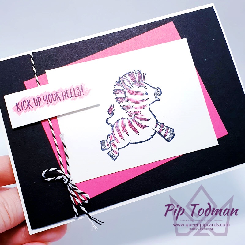 Kick up your heels with these fabulous cards for celebrating your friends! Pip Todman Stampin' Up! Demonstrator