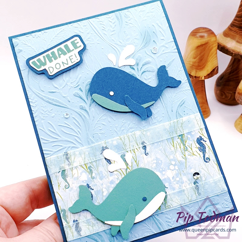 Whale Punch Fun with Whale of a Time Suite Pip Todman Stampin' Up! Demonstrator #simplystylish #queenpipcards