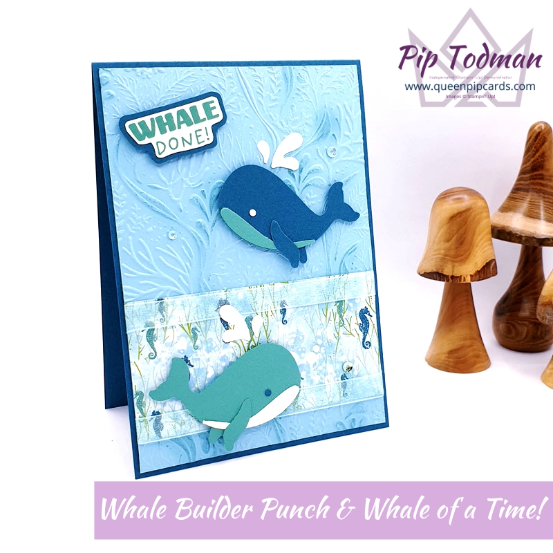 Whale Punch Fun with Whale of a Time Suite Pip Todman Stampin' Up! Demonstrator #simplystylish #queenpipcards