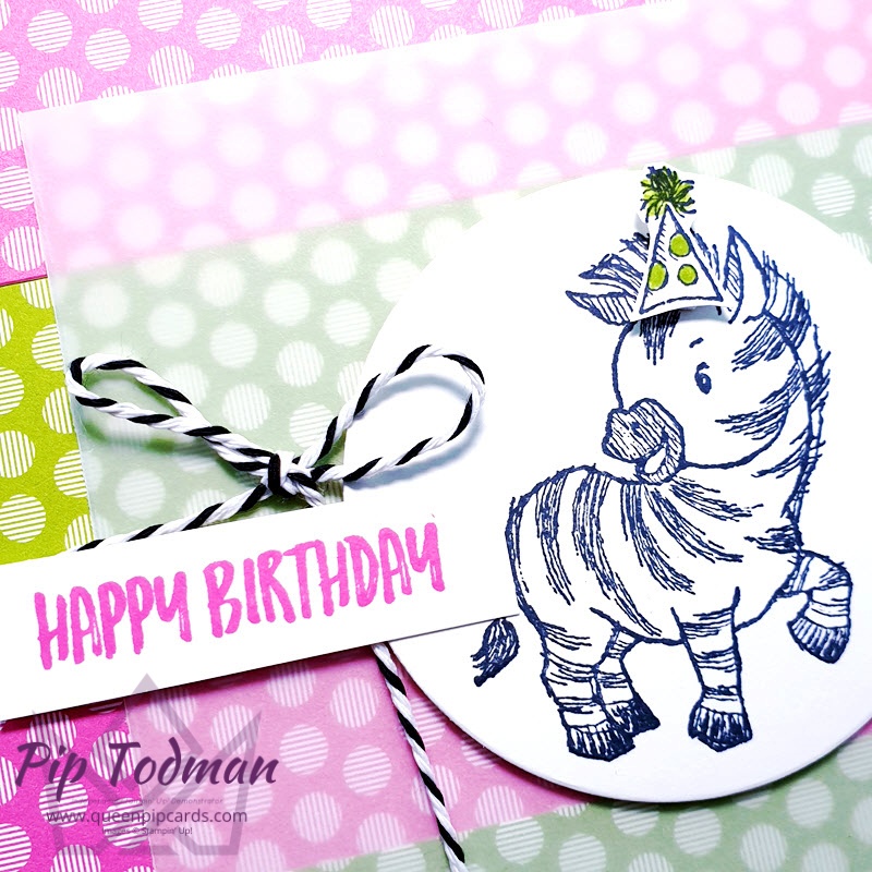 Zany Zebras Birthdays Are Fun