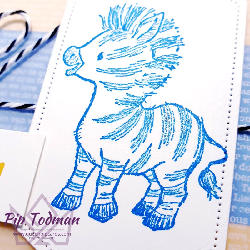 No Blue Birthdays here! Zany Zebras are so much fun. I know this will make your friends smile! Pip Todman Stampin' Up! Demonstrator #simplystylish #queenpipcards