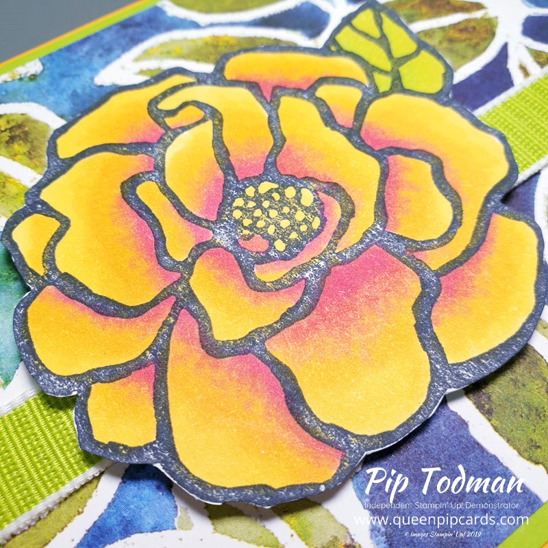Learn How To Use Your Stampin' Blends with me, Queen Pip! Pip Todman Stampin' Up! Demonstrator #simplystylish #queenpipcards